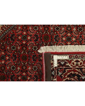Bidjar 250x350cm