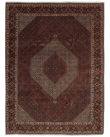 Bidjar Fine 256x338cm