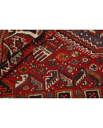 Shiraz 166x272cm