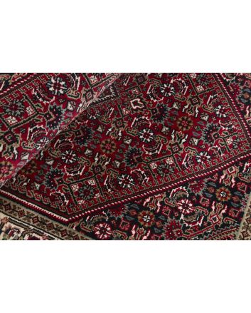 Bidjar Indi 106x156cm