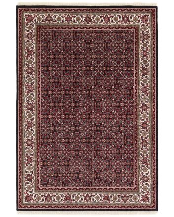 Bidjar Indi 168x243cm