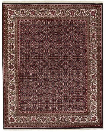 Bidjar Indi 251x349cm