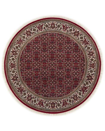 Bidjar Indi 102x102cm
