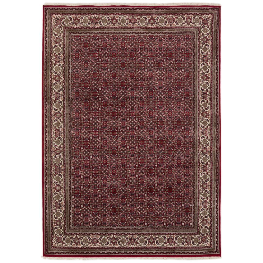 Bidjar Indi 248x351cm